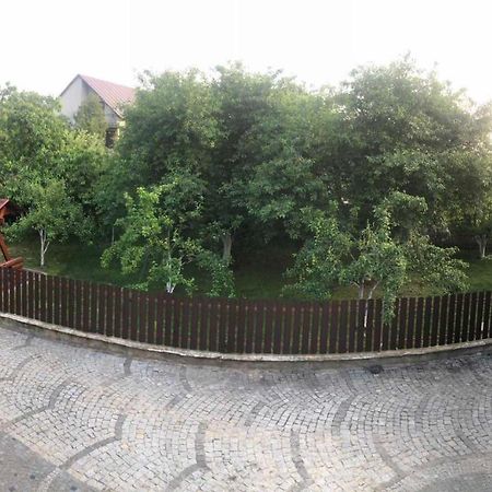 Hotel Катерина à Chynadiyovo Extérieur photo