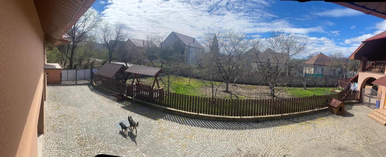 Hotel Катерина à Chynadiyovo Extérieur photo